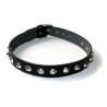 Lederhalsband mit Spitznieten 1 reihig