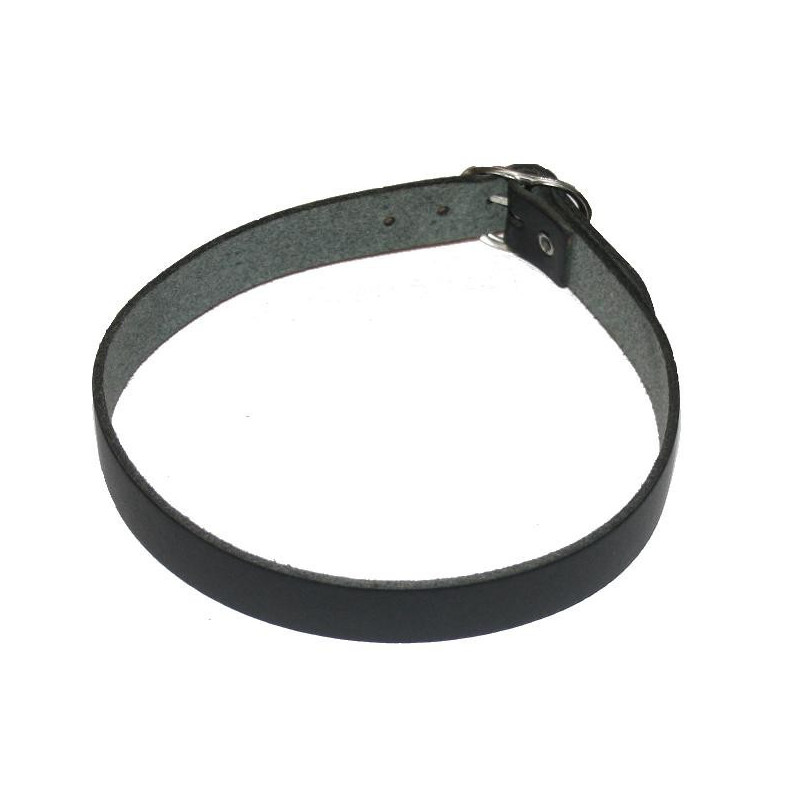 Lederhalsband Schwarz 1 reihig schmal